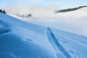 leyu乐鱼-冰雪赛事：滑雪分站赛提前开启冬季赛季热身，滑雪比赛赛道